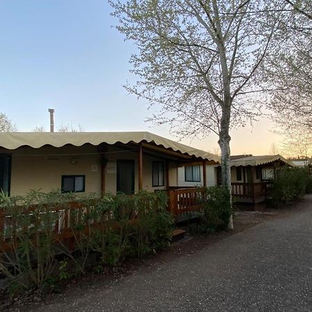 Zona Rosa 5 Chalet Mit Klimaanlage Und Wlan Viareggio Eksteriør bilde