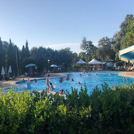 Zona Rosa 5 Chalet Mit Klimaanlage Und Wlan Viareggio Eksteriør bilde