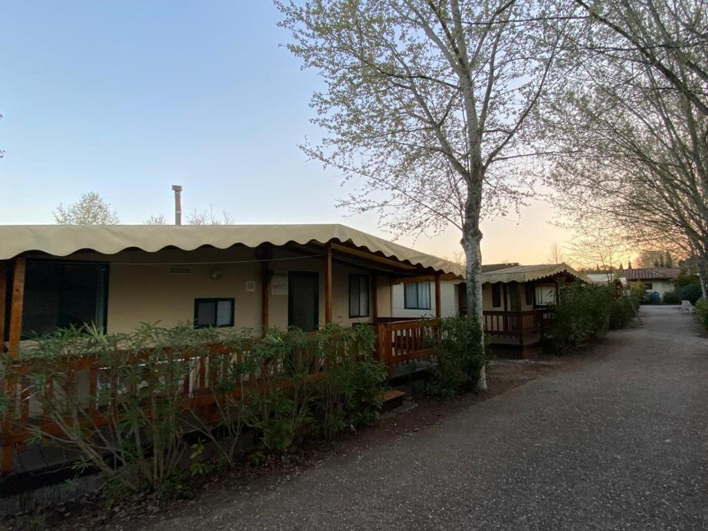Zona Rosa 5 Chalet Mit Klimaanlage Und Wlan Viareggio Eksteriør bilde