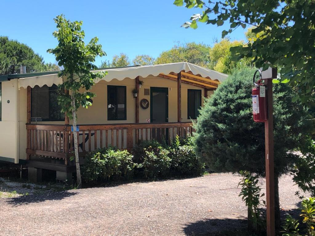 Zona Rosa 5 Chalet Mit Klimaanlage Und Wlan Viareggio Eksteriør bilde